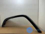 Zierleiste Kotflügel vorne von einem Mercedes G-Klasse