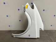 Kotflügel links vorne von einem Mercedes Vito