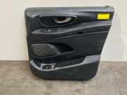 Türverkleidung 2-türig rechts von einem Mercedes Vito