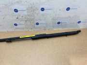 Gasdämpfer Motorhaube Set von einem Mercedes C-Klasse (885)