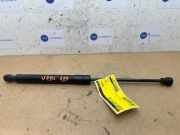 Gasdämpfer Motorhaube links von einem Mercedes Citan (9147)