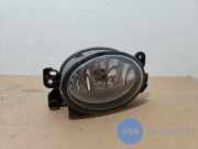 Nebelscheinwerfer links vorne von einem Mercedes CLK (359)