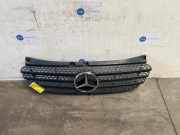 Grill von einem Mercedes Vito (9197)