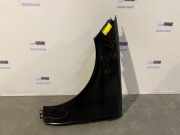 Kotflügel links vorne von einem Mercedes ML-Klasse (197)