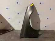 Kotflügel rechts vorne von einem Mercedes E-Klasse (963)