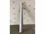 Schwelle rechts von einem Mercedes E-Klasse