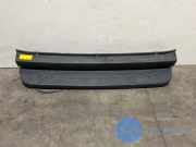 Trittbrett hinten von einem Mercedes Sprinter