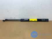 Gasdämpfer Motorhaube Set von einem Mercedes C-Klasse (792)