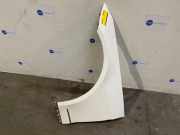 Kotflügel links vorne von einem Mercedes E-Klasse