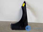 Kotflügel links vorne von einem Mercedes C-Klasse (197)