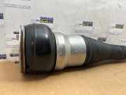 Stoßdämpferstrebe rechts hinten von einem Mercedes S-Klasse