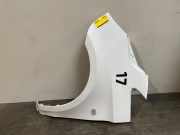 Kotflügel links vorne von einem Mercedes Vito