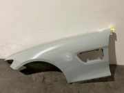 Kotflügel rechts vorne von einem Mercedes AMG GT