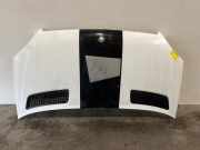 Motorhaube von einem Mercedes Sprinter (9147)