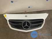 Grill von einem Mercedes Citan (9147)