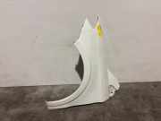 Kotflügel links vorne von einem Mercedes B-Klasse (650)