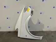 Kotflügel rechts vorne von einem Mercedes Vito