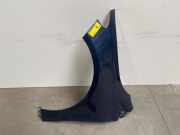 Kotflügel links vorne von einem Mercedes B-Klasse