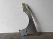 Kotflügel links vorne von einem Mercedes CL