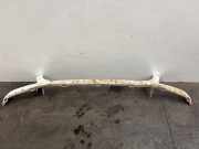 Grillleiste von einem Mercedes Sprinter (9147)