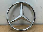 Stern von einem Mercedes R-Klasse