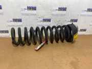 Federschraube vorne von einem Mercedes SL