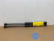 Gasdämpfer Motorhaube Set von einem Mercedes Citan (9398)