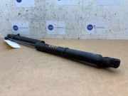 Gasdämpfer Motorhaube Set von einem Mercedes Citan