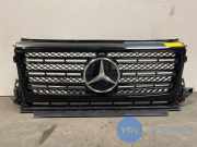 Grill von einem Mercedes G-Klasse