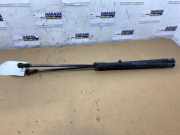 Set Gasdämpfer Heckklappe von einem Mercedes C-Klasse