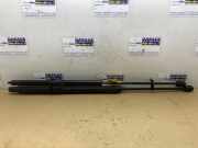 Gasdämpfer Motorhaube Set von einem Mercedes C-Klasse