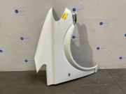 Kotflügel rechts vorne von einem Mercedes Vito