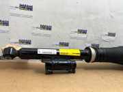 Stoßdämpferstrebe links hinten von einem Mercedes S-Klasse