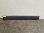 Zierleiste von einem Mercedes Sprinter