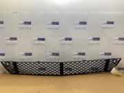 Stoßstangenteil Mitte vorne von einem Mercedes S-Klasse