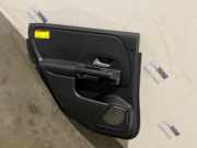 Türverkleidung 4-türig links hinten von einem Mercedes B-Klasse