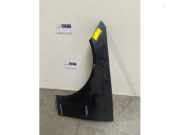 Kotflügel links vorne von einem Mercedes C-Klasse (755)