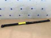 Gasdämpfer Motorhaube Set von einem Mercedes E-Klasse (723)