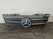 Grill von einem Mercedes Sprinter (9147)