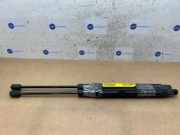 Gasdämpfer Motorhaube Set von einem Mercedes C-Klasse (896)