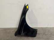 Kotflügel rechts vorne von einem Mercedes E-Klasse