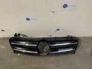 Grill von einem Mercedes GLA (787)