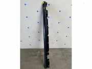 Schwelle links von einem Mercedes C-Klasse (197)