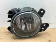 Nebelscheinwerfer links vorne von einem Mercedes C-Klasse (723)