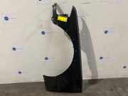 Kotflügel links vorne von einem Mercedes 190E/D (9999)