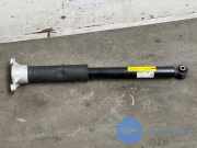 Stoßdämpfer rechts hinten von einem Mercedes C-Klasse