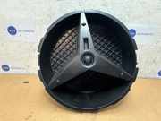 Stern von einem Mercedes ML-Klasse