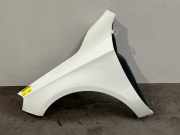 Kotflügel links vorne von einem Mercedes A-Klasse (650)