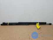 Gasdämpfer Motorhaube Set von einem Mercedes CLS-Klasse (792)