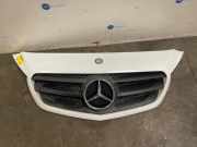 Grill von einem Mercedes Citan (9147)